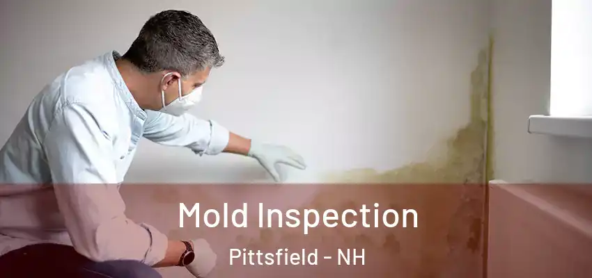 Mold Inspection Pittsfield - NH
