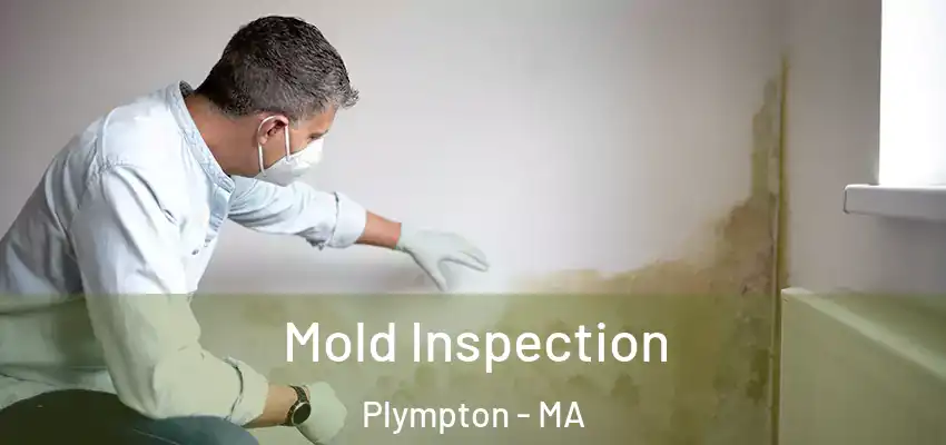 Mold Inspection Plympton - MA