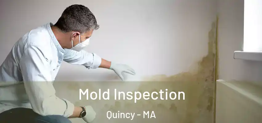 Mold Inspection Quincy - MA