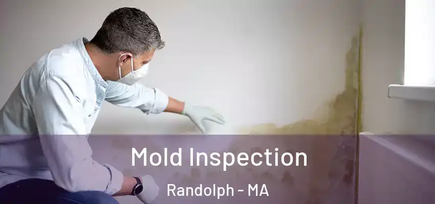 Mold Inspection Randolph - MA