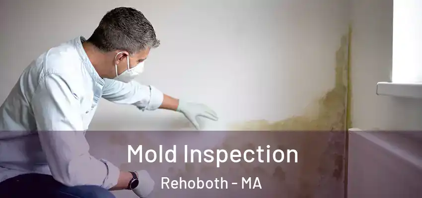 Mold Inspection Rehoboth - MA