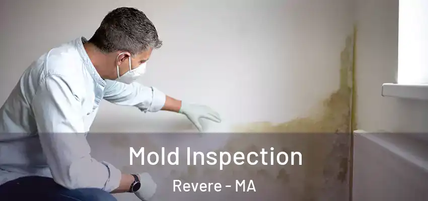  Mold Inspection Revere - MA