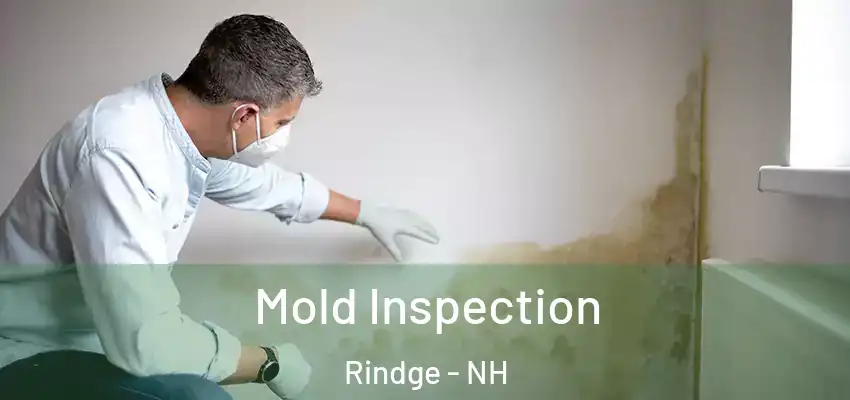 Mold Inspection Rindge - NH