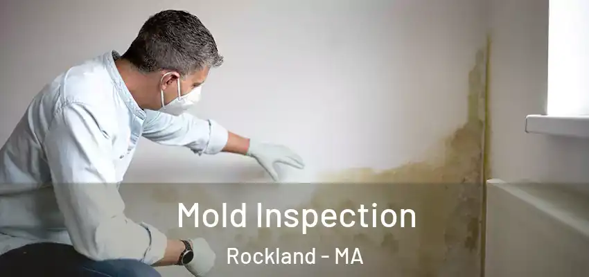 Mold Inspection Rockland - MA