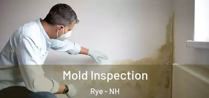 Mold Inspection Rye - NH