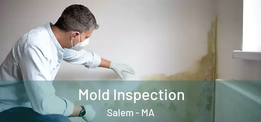 Mold Inspection Salem - MA