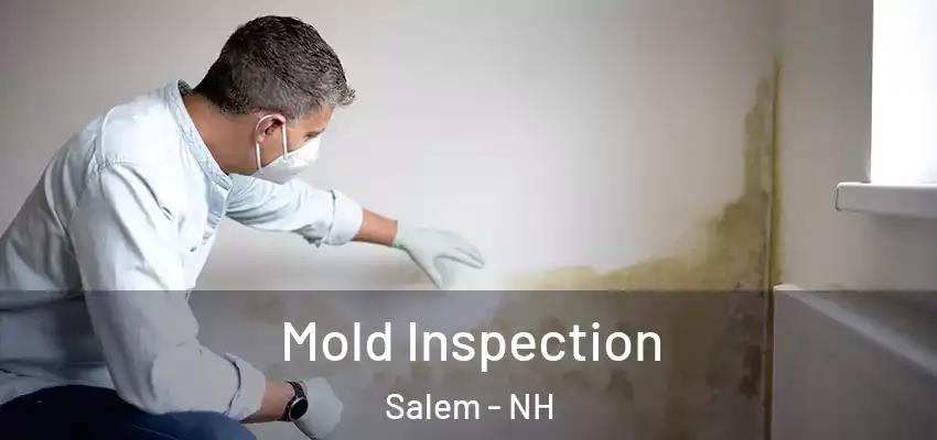  Mold Inspection Salem - NH