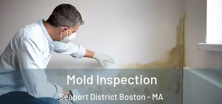  Mold Inspection Seaport District Boston - MA