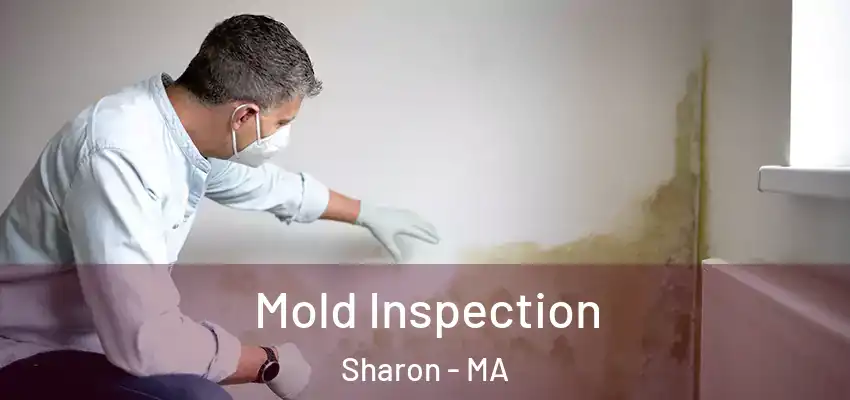 Mold Inspection Sharon - MA