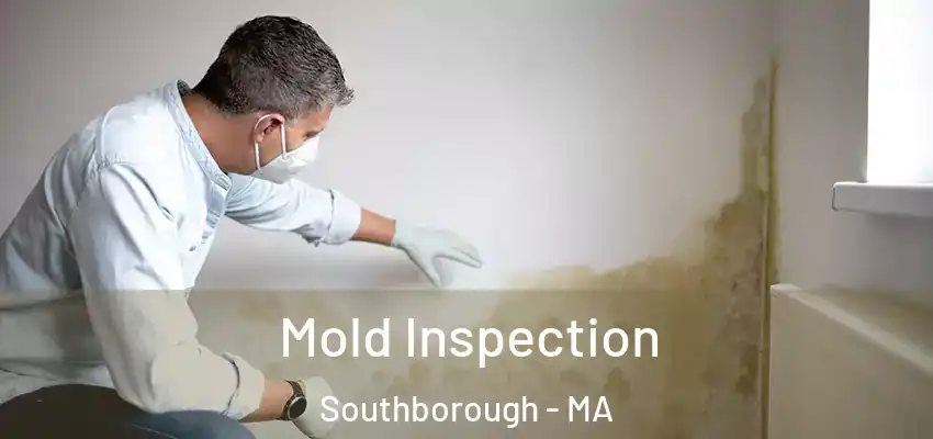  Mold Inspection Southborough - MA