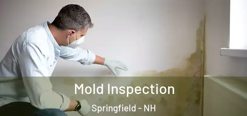 Mold Inspection Springfield - NH