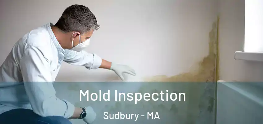 Mold Inspection Sudbury - MA