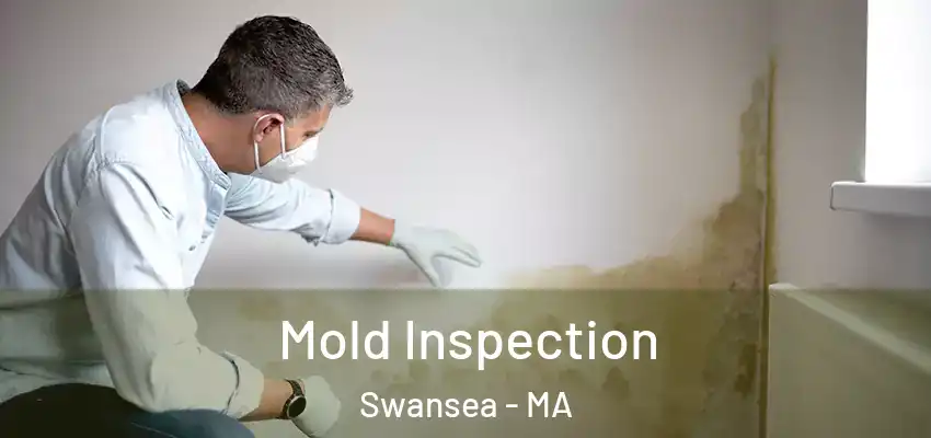  Mold Inspection Swansea - MA