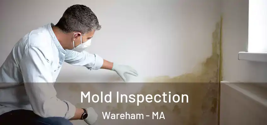 Mold Inspection Wareham - MA