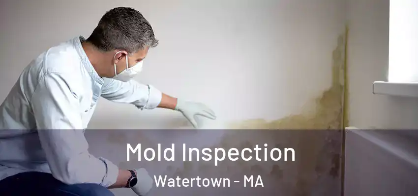 Mold Inspection Watertown - MA