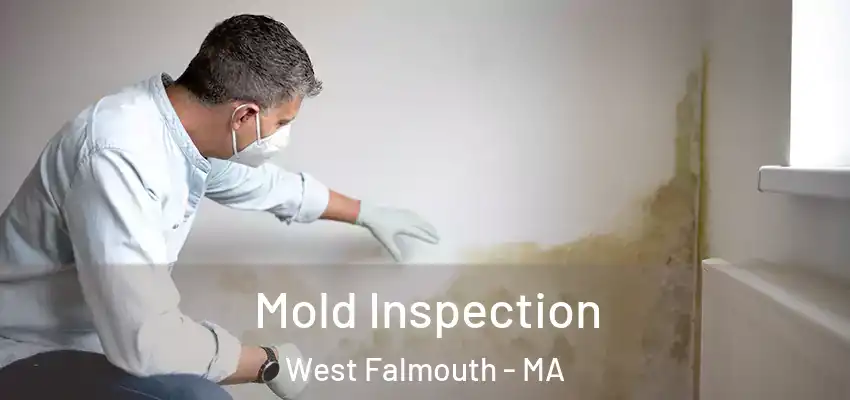 Mold Inspection West Falmouth - MA