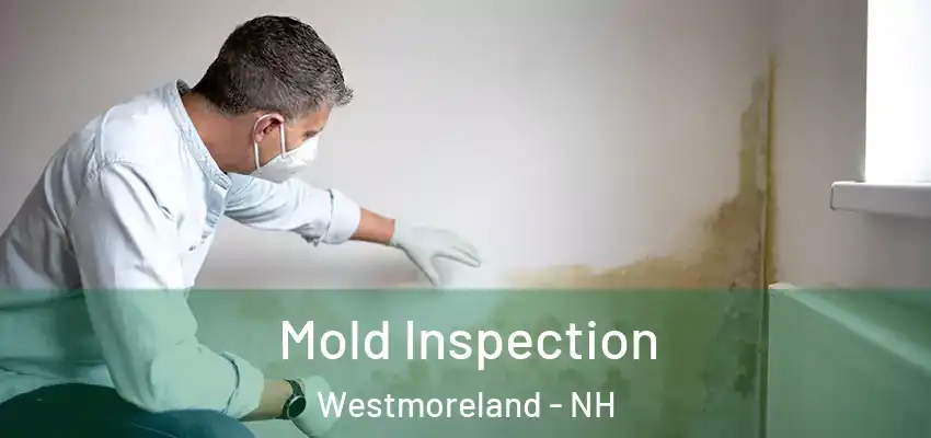  Mold Inspection Westmoreland - NH