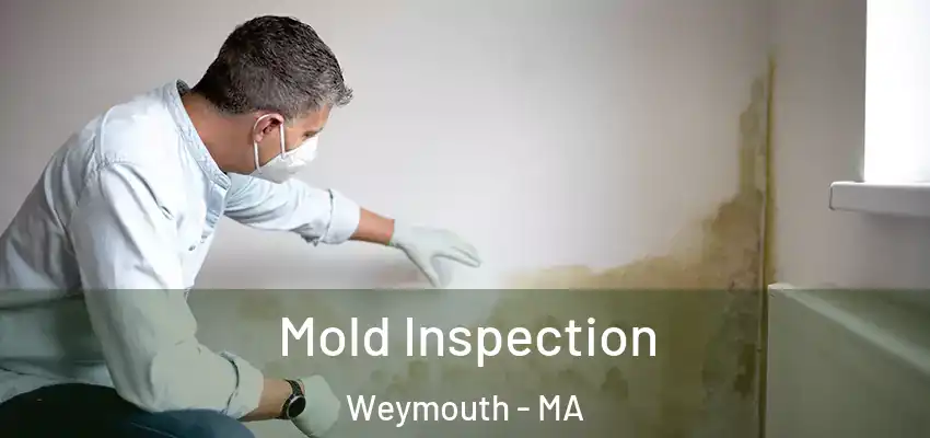Mold Inspection Weymouth - MA