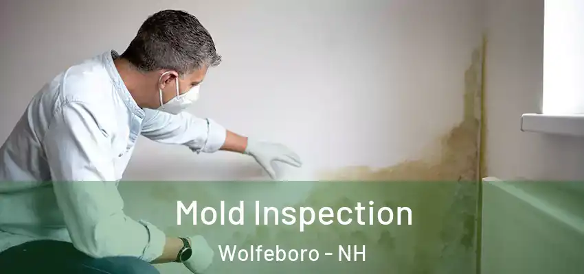 Mold Inspection Wolfeboro - NH