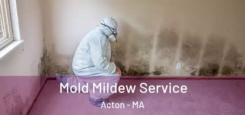 Mold Mildew Service Acton - MA