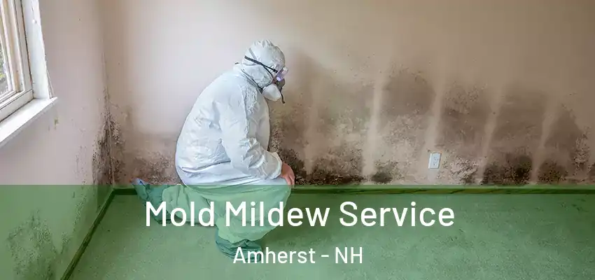  Mold Mildew Service Amherst - NH