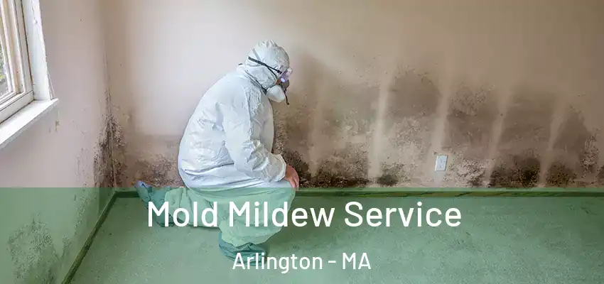 Mold Mildew Service Arlington - MA