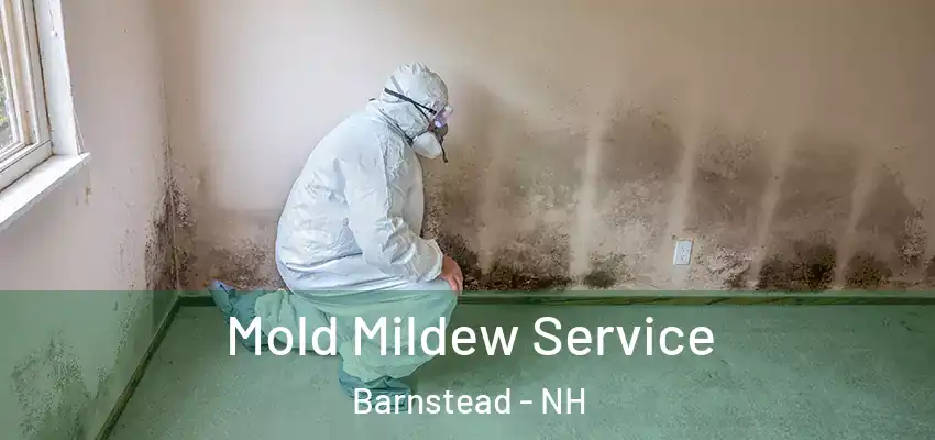 Mold Mildew Service Barnstead - NH