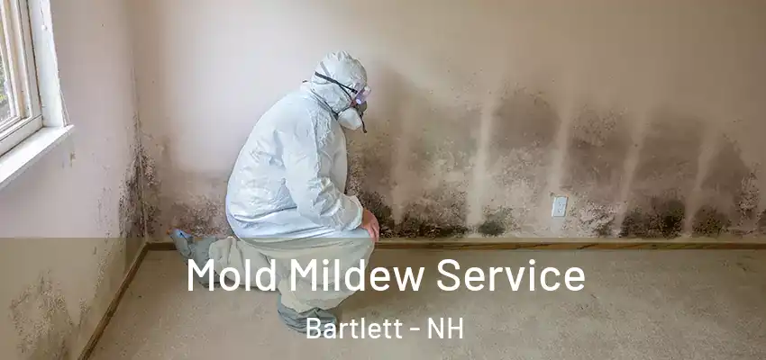Mold Mildew Service Bartlett - NH