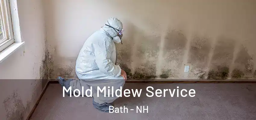  Mold Mildew Service Bath - NH