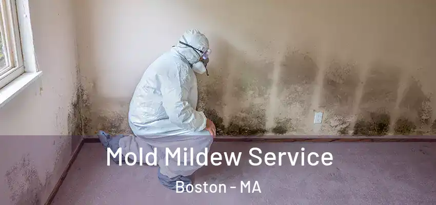  Mold Mildew Service Boston - MA