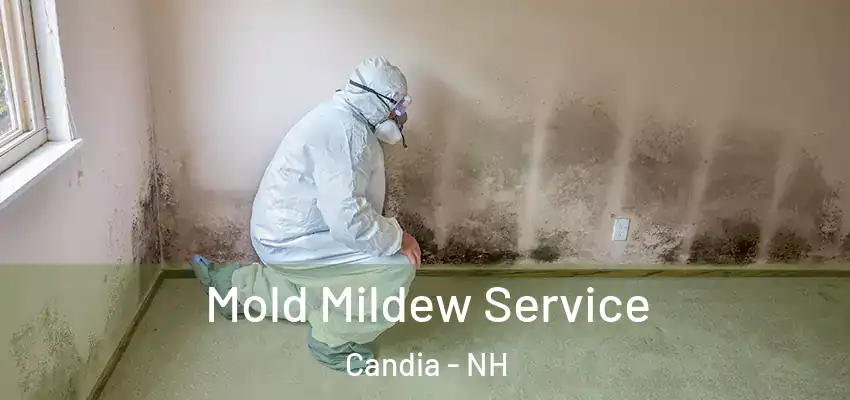 Mold Mildew Service Candia - NH