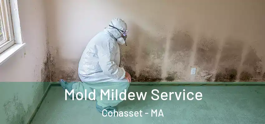 Mold Mildew Service Cohasset - MA