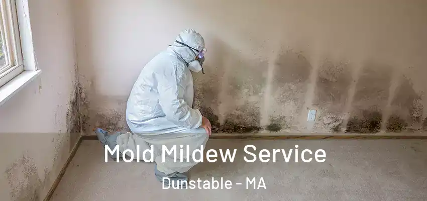Mold Mildew Service Dunstable - MA
