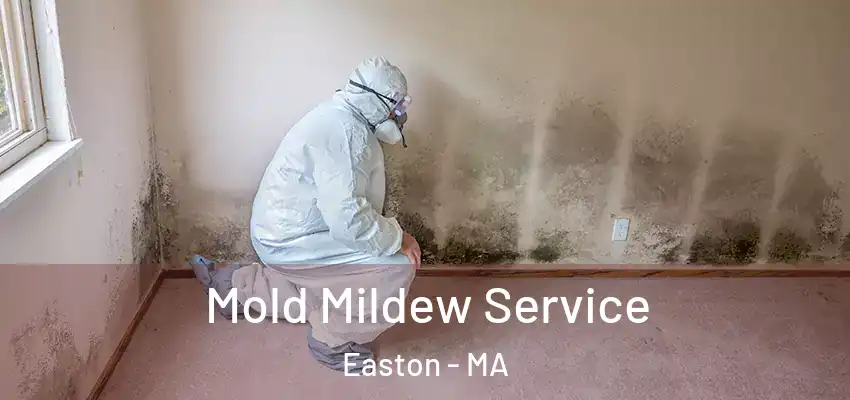 Mold Mildew Service Easton - MA