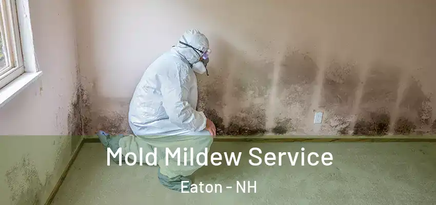  Mold Mildew Service Eaton - NH