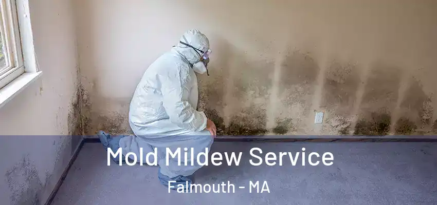  Mold Mildew Service Falmouth - MA