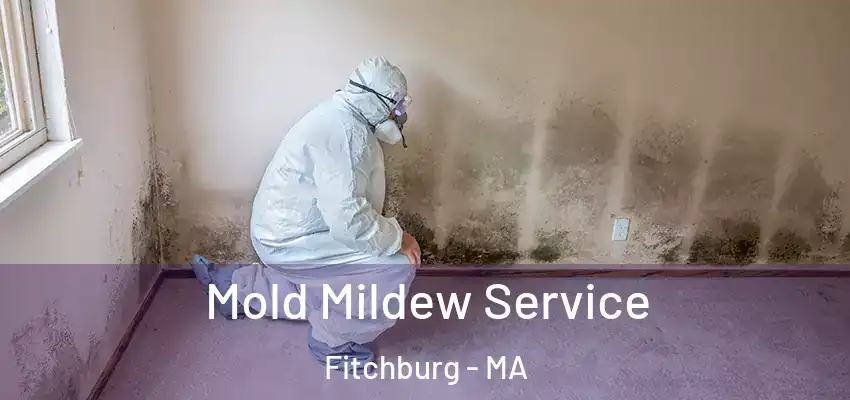  Mold Mildew Service Fitchburg - MA