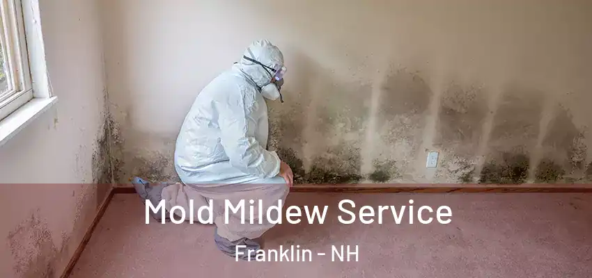  Mold Mildew Service Franklin - NH