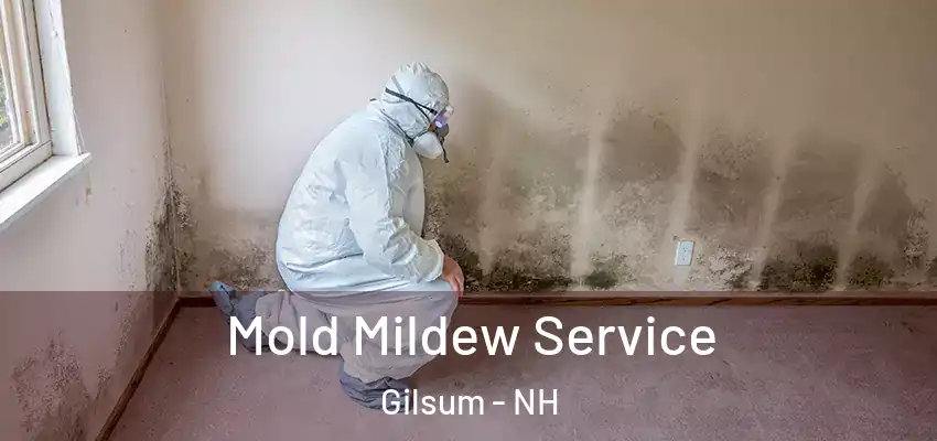  Mold Mildew Service Gilsum - NH