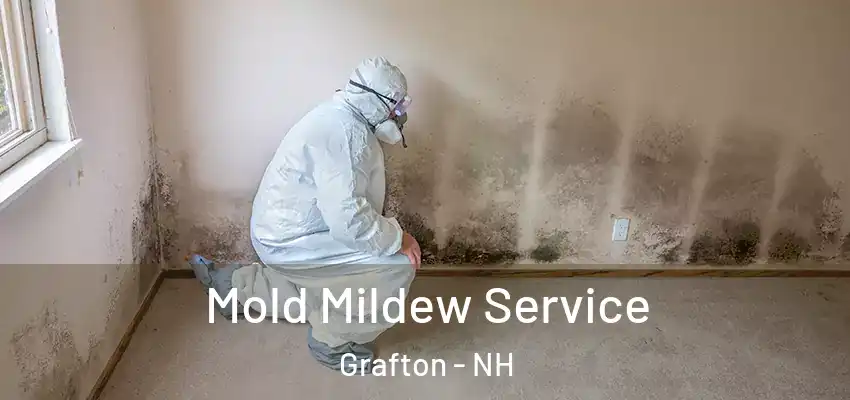 Mold Mildew Service Grafton - NH