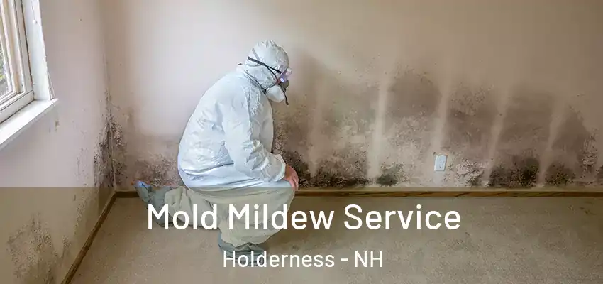 Mold Mildew Service Holderness - NH
