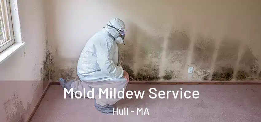 Mold Mildew Service Hull - MA