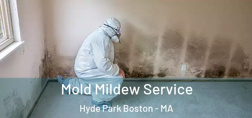  Mold Mildew Service Hyde Park Boston - MA