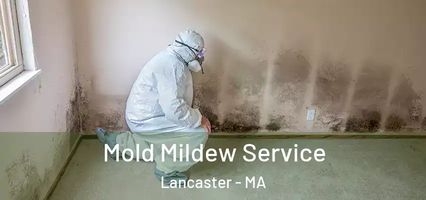 Mold Mildew Service Lancaster - MA