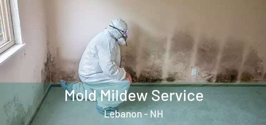 Mold Mildew Service Lebanon - NH