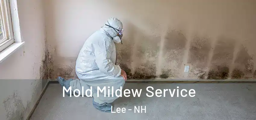 Mold Mildew Service Lee - NH