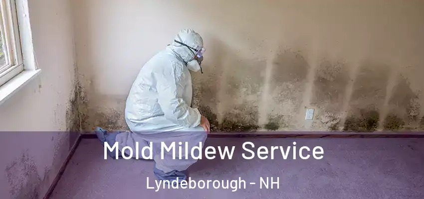 Mold Mildew Service Lyndeborough - NH