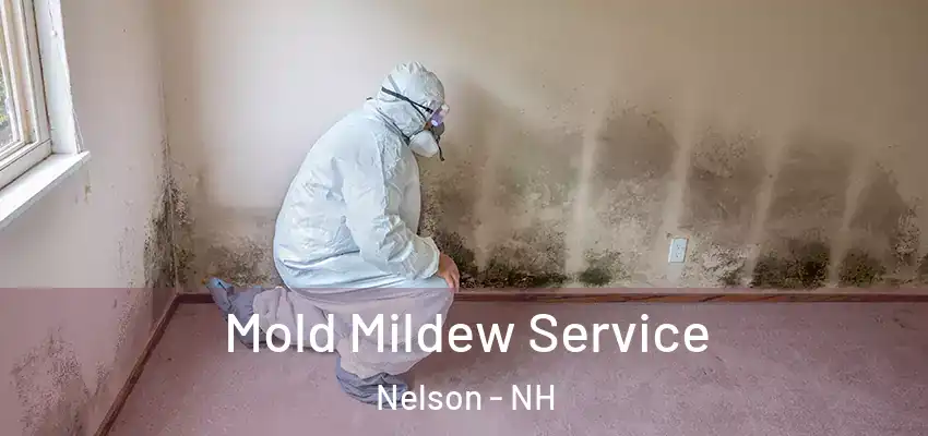 Mold Mildew Service Nelson - NH