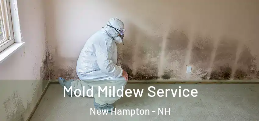 Mold Mildew Service New Hampton - NH