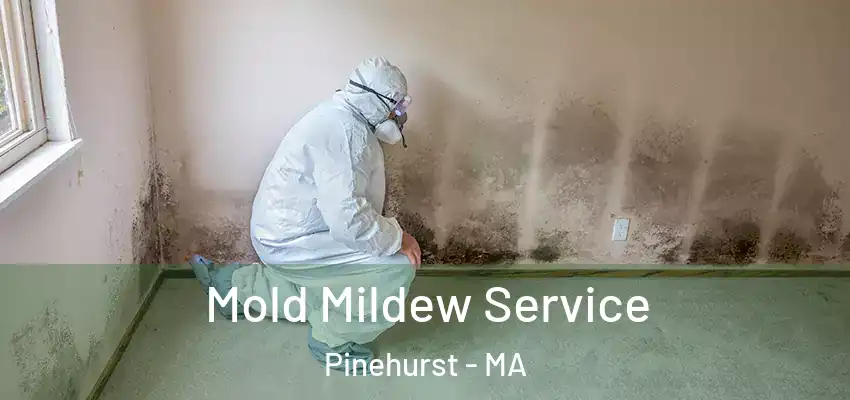 Mold Mildew Service Pinehurst - MA